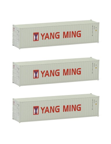 N 40´YANG MING